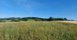 Boljevac, Rtanj – Valakonje 1ha 3a 35kvm