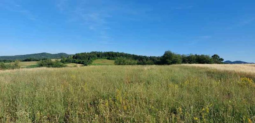 Boljevac, Rtanj – Valakonje 1ha 3a 35kvm