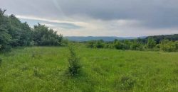 Boljevac, Rtanj – Mirovo 29a 91kvm