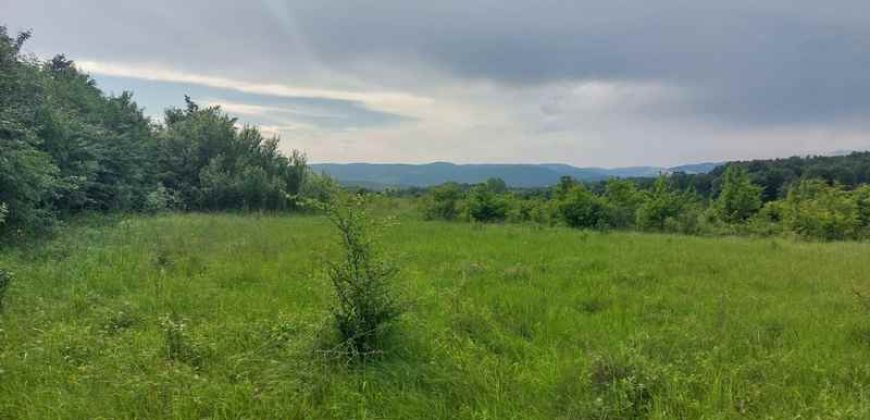 Boljevac, Rtanj – Mirovo 29a 91kvm