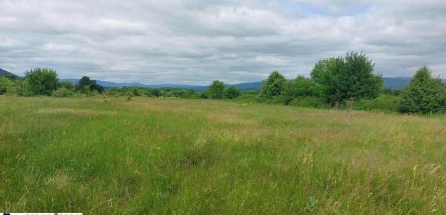 Boljevac, Rtanj – Mirovo 67,98ari