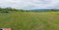 Boljevac, Rtanj – Mirovo 27,94ari