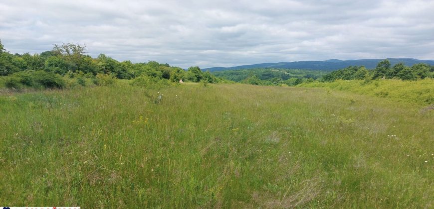 Boljevac, Rtanj – Mirovo 27,94ari