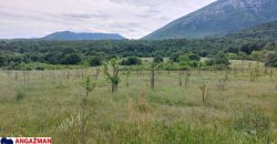 Boljevac, Rtanj – Mirovo 17,78ari