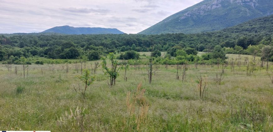 Boljevac, Rtanj – Mirovo 17,78ari