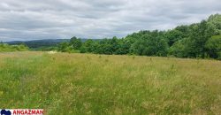 Boljevac, Rtanj – Mirovo 65,32ara