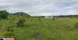 Boljevac, Rtanj – Mirovo 38,82ara