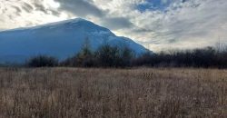 Boljevac, Rtanj – Mirovo 1ha 2a