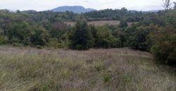 Boljevac, Rtanj – Vrbovac 63,69ari