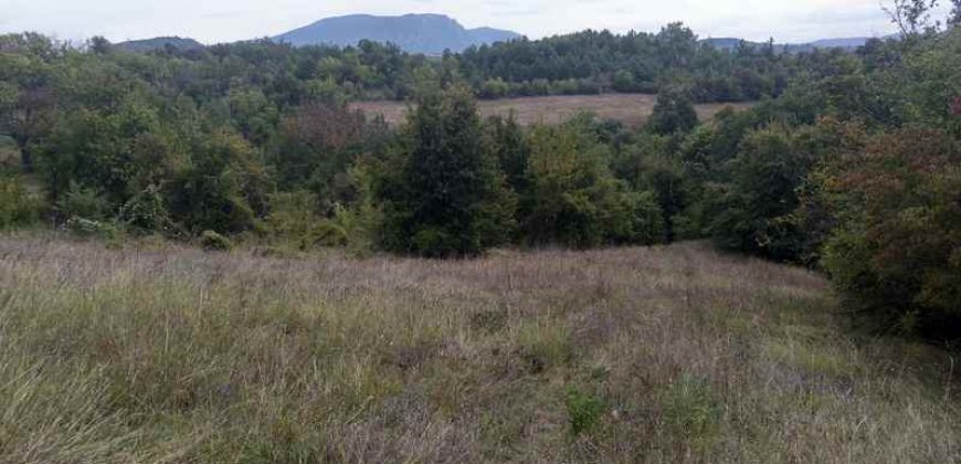 Boljevac, Rtanj – Vrbovac 63,69ari