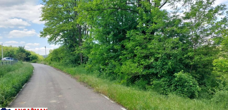 Sopot – Popović 25,12ari