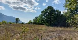 Parcele sa starom kućom 2ha7a31kvm