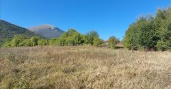 Ilino-dve parcele pov 1ha 43a 78kvm