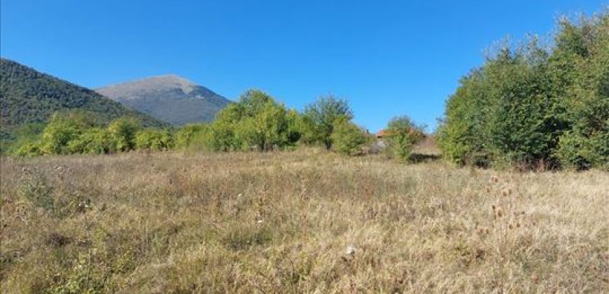 Ilino-dve parcele pov 1ha 43a 78kvm