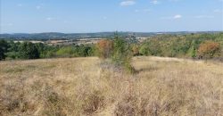 Bačevica-Lasovski del 6ha 96a 47kvm