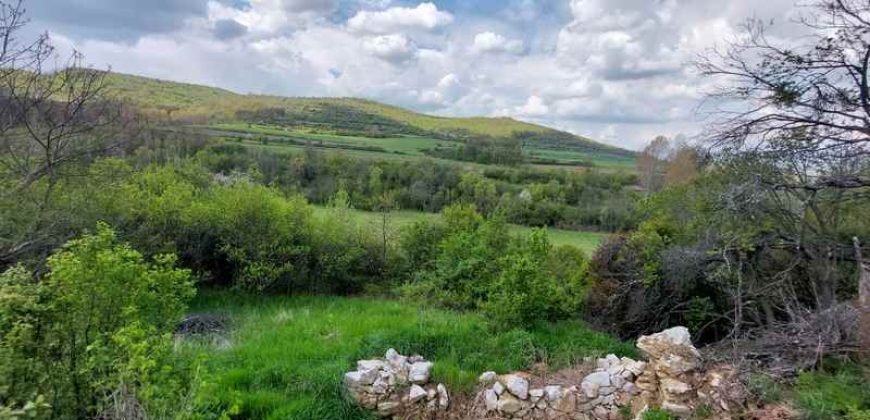 Zaječar – Gornja bela reka 3ha 23a 86kvm