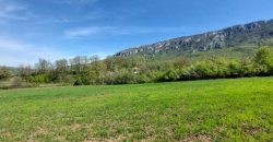 Zaječar – Lasovo 5ha 46a 76kvm