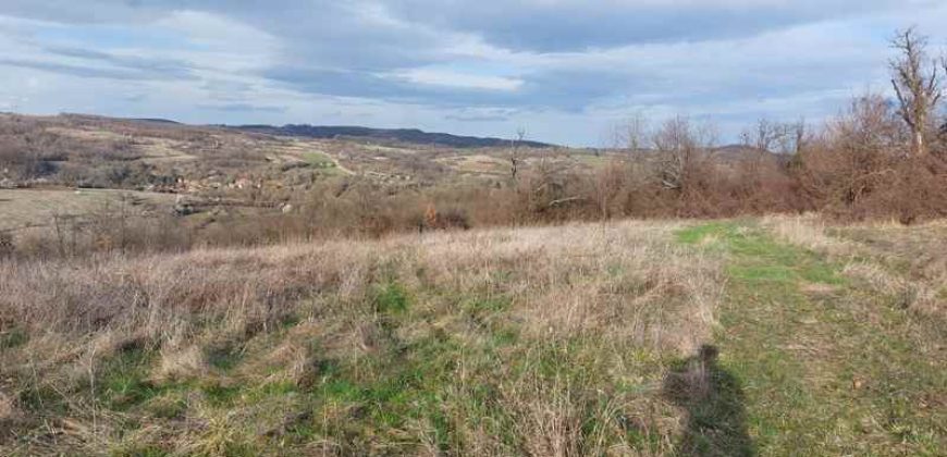 Boljevac, Rtanj – Vrbovac 4ha 42a 44kvm + 92kvm