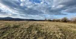 Rtanj – Bačevica 54kvm + 11ha 44a 30kvm