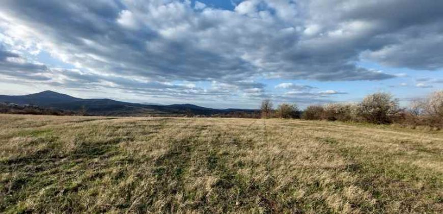 Rtanj – Bačevica 54kvm + 11ha 44a 30kvm