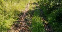 Boljevac, Rtanj – Osnić 85,51Ara