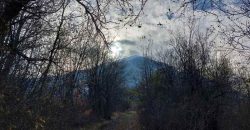 Boljevac, Rtanj – Mirovo 14ari 99kvm