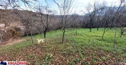 Rtanj – Jablanica 10a+42kvm stara kuća