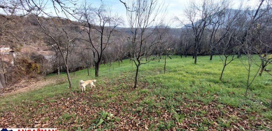 Rtanj – Jablanica 10a+42kvm stara kuća
