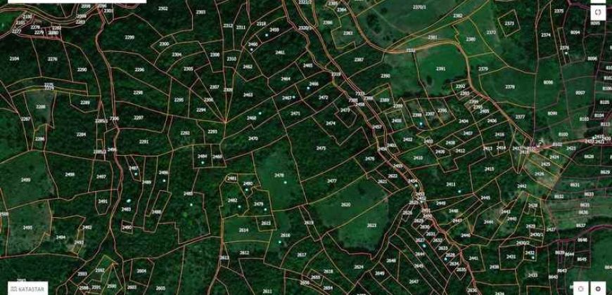 Boljevac, Rtanj – Bačevica 9ha 65a 35kvm