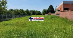 Batajnica – Batajnički vinogradi 921kvm + 32ara