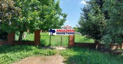 Batajnica – Batajnički vinogradi 921kvm + 32ara