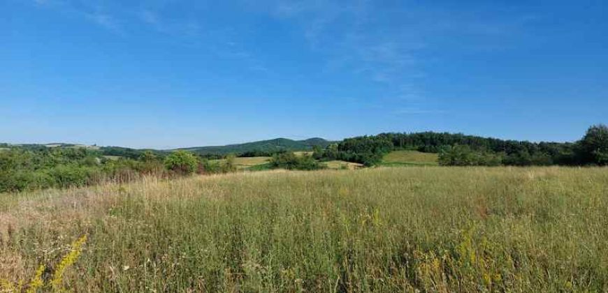 Boljevac, Rtanj – Valakonje 1ha 3a 35kvm