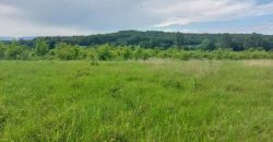 Boljevac, Rtanj – Mirovo 29a 91kvm