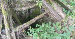 Boljevac, Rtanj – Vrbovac 63,69ari