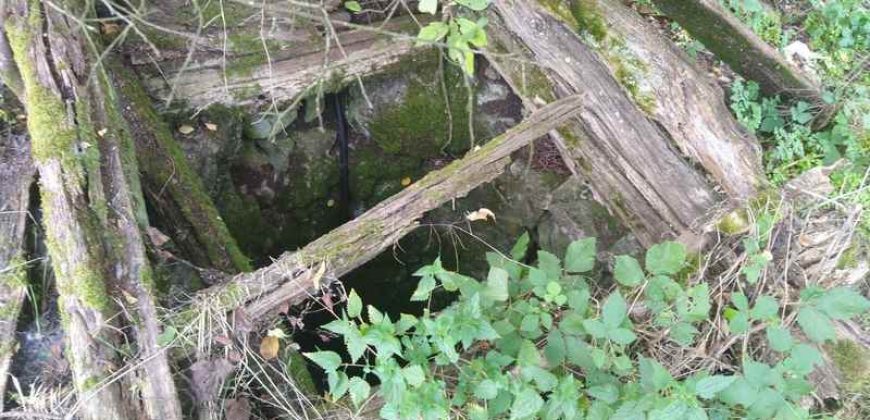 Boljevac, Rtanj – Vrbovac 63,69ari