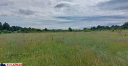 Boljevac, Rtanj – Mirovo 67,98ari