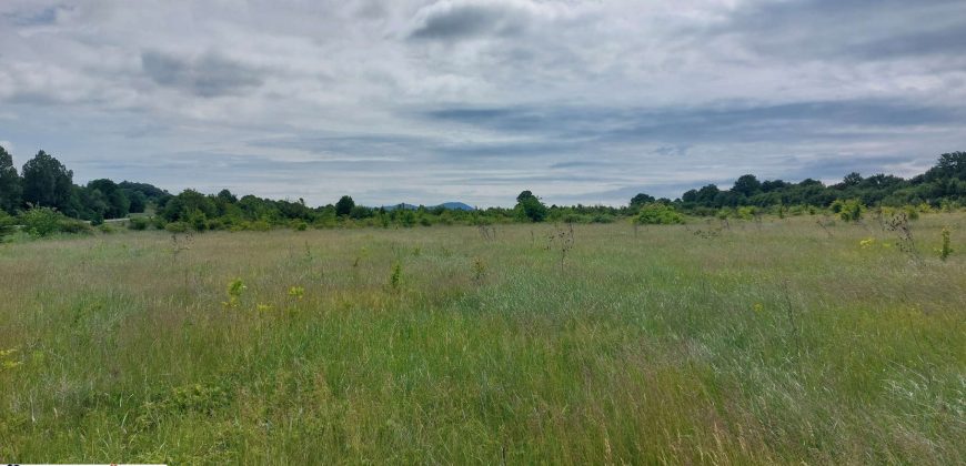 Boljevac, Rtanj – Mirovo 67,98ari