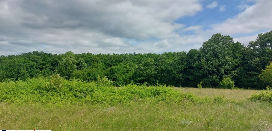 Boljevac, Rtanj – Mirovo 27,94ari