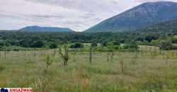 Boljevac, Rtanj – Mirovo 17,78ari