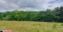 Boljevac, Rtanj – Mirovo 65,32ara