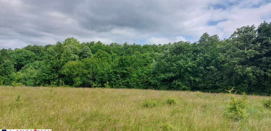 Boljevac, Rtanj – Mirovo 65,32ara