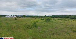 Boljevac, Rtanj – Mirovo 38,82ara