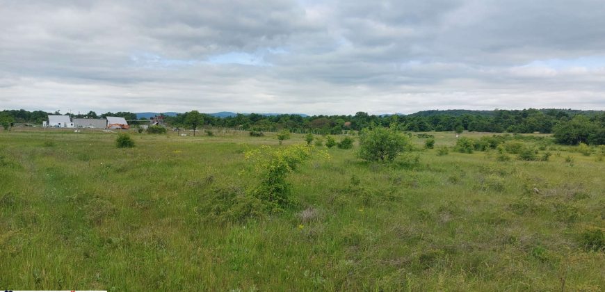 Boljevac, Rtanj – Mirovo 38,82ara