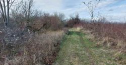 Boljevac, Rtanj – Mirovo 1ha 2a