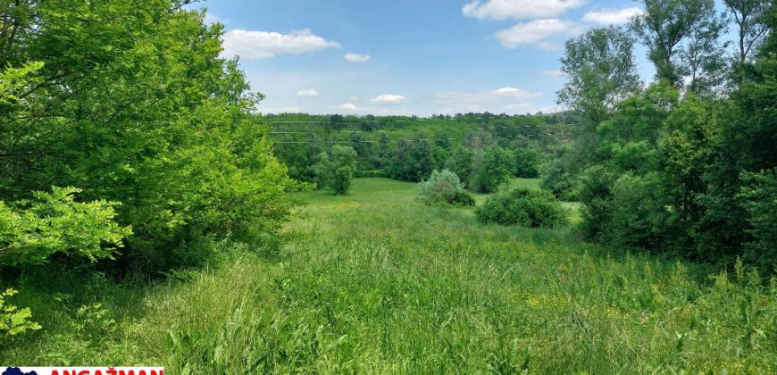 Sopot – Popović 25,12ari