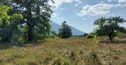 Parcele sa starom kućom 2ha7a31kvm