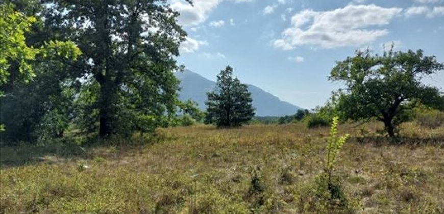 Parcele sa starom kućom 2ha7a31kvm