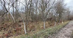 Boljevac, Rtanj – Mirovo 13a 73kvm