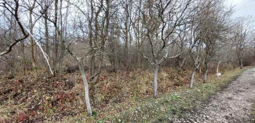 Boljevac, Rtanj – Mirovo 13a 73kvm