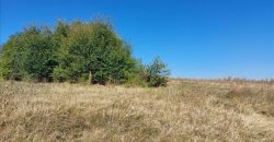 Ilino-dve parcele pov 1ha 43a 78kvm